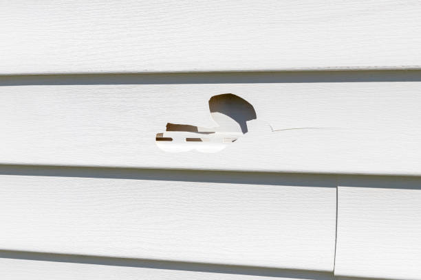 Affordable siding repair and maintenance services in Tarrant, AL