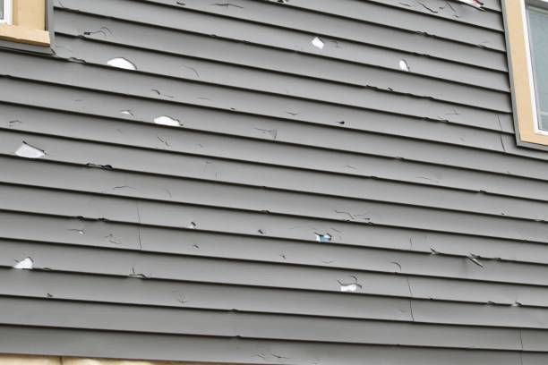 Best Brick Veneer Siding  in Tarrant, AL